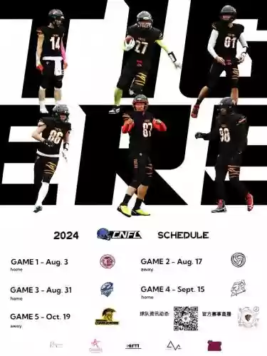 nfl猛虎阵容插图1