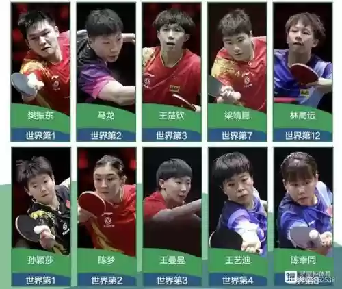 世乒赛的阵容_1插图1