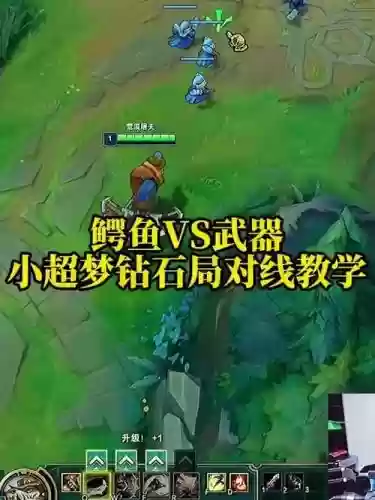 武器好打鳄鱼吗插图1 武器好打鳄鱼吗插图1