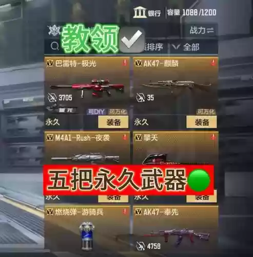 cf永久武器那个好_2插图1 cf永久武器那个好_2插图1