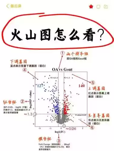 安图恩20人火山攻略插图1 安图恩20人火山攻略插图1