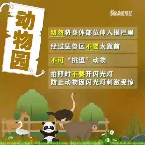 动物森林逃生攻略_1插图1 动物森林逃生攻略_1插图1