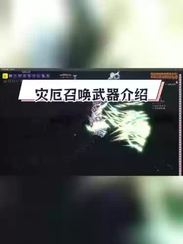 泰拉瑞亚灾厄最好的召唤武器插图1