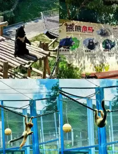 动物森林逃生攻略_1插图 动物森林逃生攻略_1插图