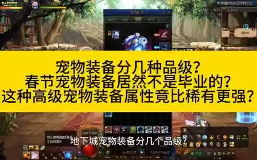 春节套宠物装备送几个插图 春节套宠物装备送几个插图