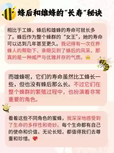 5个技能怎么过蜂后道场插图1 5个技能怎么过蜂后道场插图1