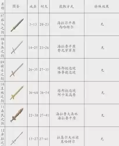 荒野之息武器攻击数值插图 荒野之息武器攻击数值插图
