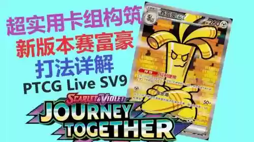 赛富豪搭配阵容插图1