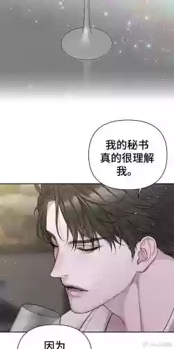 我的小秘书游戏攻略，我的小秘密小说免费阅读插图1