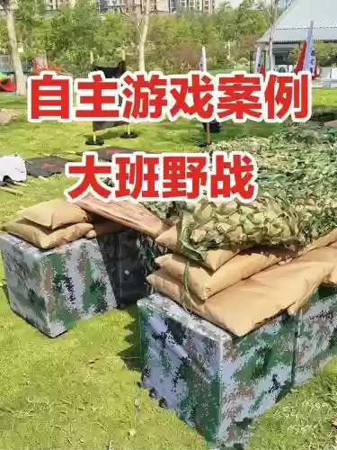 野战全攻略网站，野战游戏叫啥插图
