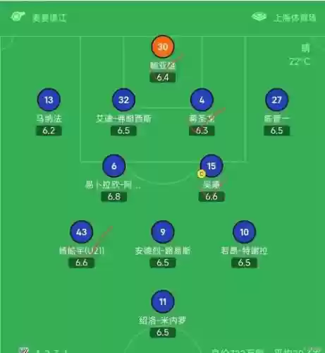 上海申花最佳搭配阵容，上海申花新赛季阵容预测插图