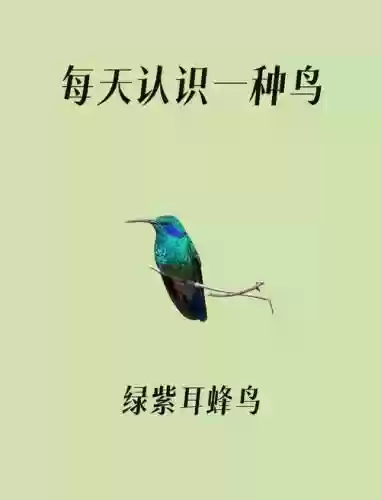 蜂鸟攻略，蜂鸟规则插图