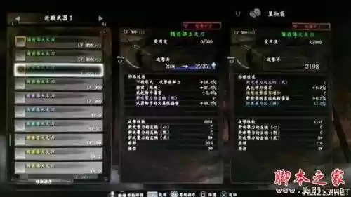 仁王枪主副武器搭配，仁王枪什么词条好