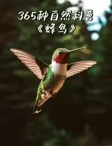 蜂鸟攻略，蜂鸟规则插图1