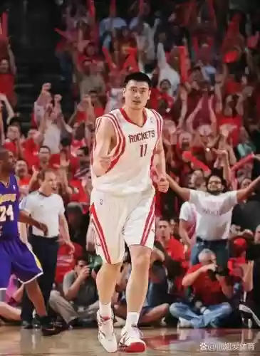 中锋最强壮的阵容搭配，中锋适合什么技能插图