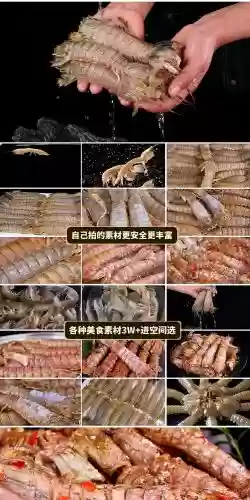 皮皮虾装备下载，皮皮虾361插图