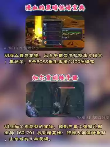 猎人拾取技能书，wow猎人宠物拾取技能插图1