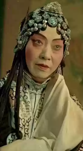 电影梅兰芳阵容搭配，梅兰芳拍电影插图1