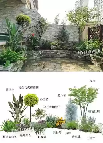 创意庭院超强植物阵容搭配，庭院的创意分类