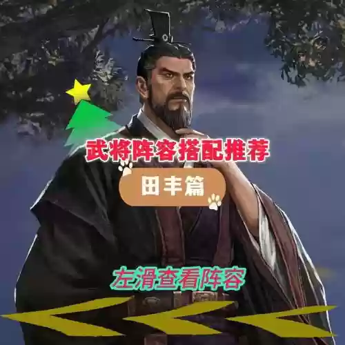 田丰搭配阵容，田丰搭配什么武将插图