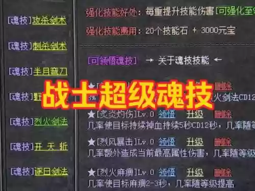 热血传奇修改技能冷却，热血传奇技能栏插图