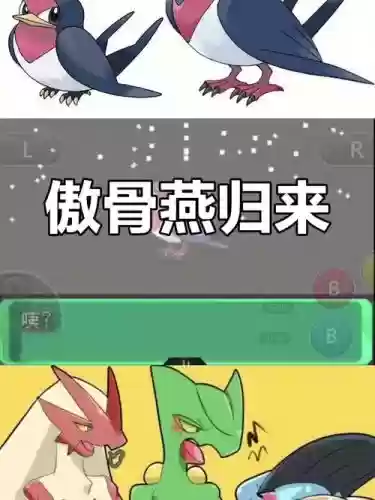 口袋之旅傲骨燕技能，口袋之旅傲骨燕性格插图1