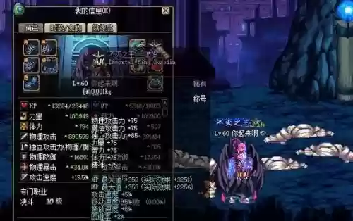 假猪套魔法石与辅助装备选什么，假猪套效果插图1
