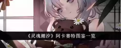 灵魂潮汐阿卡赛特阵容搭配，灵魂潮汐阿卡赛特如何获得插图