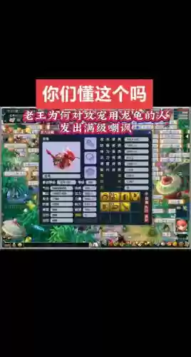 梦幻西游攻击宠物必带技能，梦幻西游攻击宝宝必带技能插图1